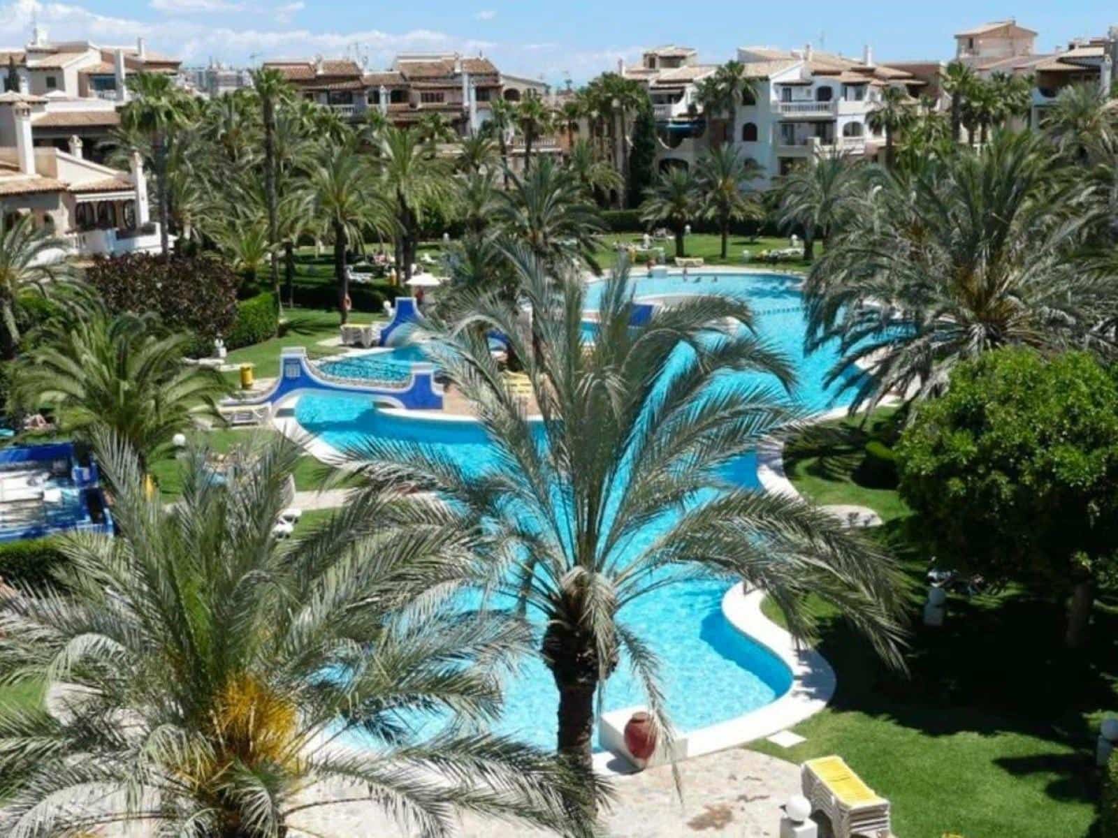 3 Zimmer Apartment zu verkaufen in Torrevieja mit Pool - 320.000 € (Ref: 10051849)