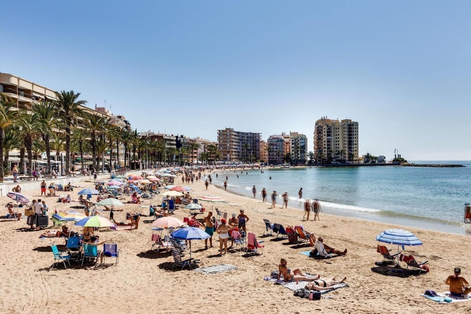 Studio à vendre à Torrevieja - 146 000 € (Ref: 10089724)