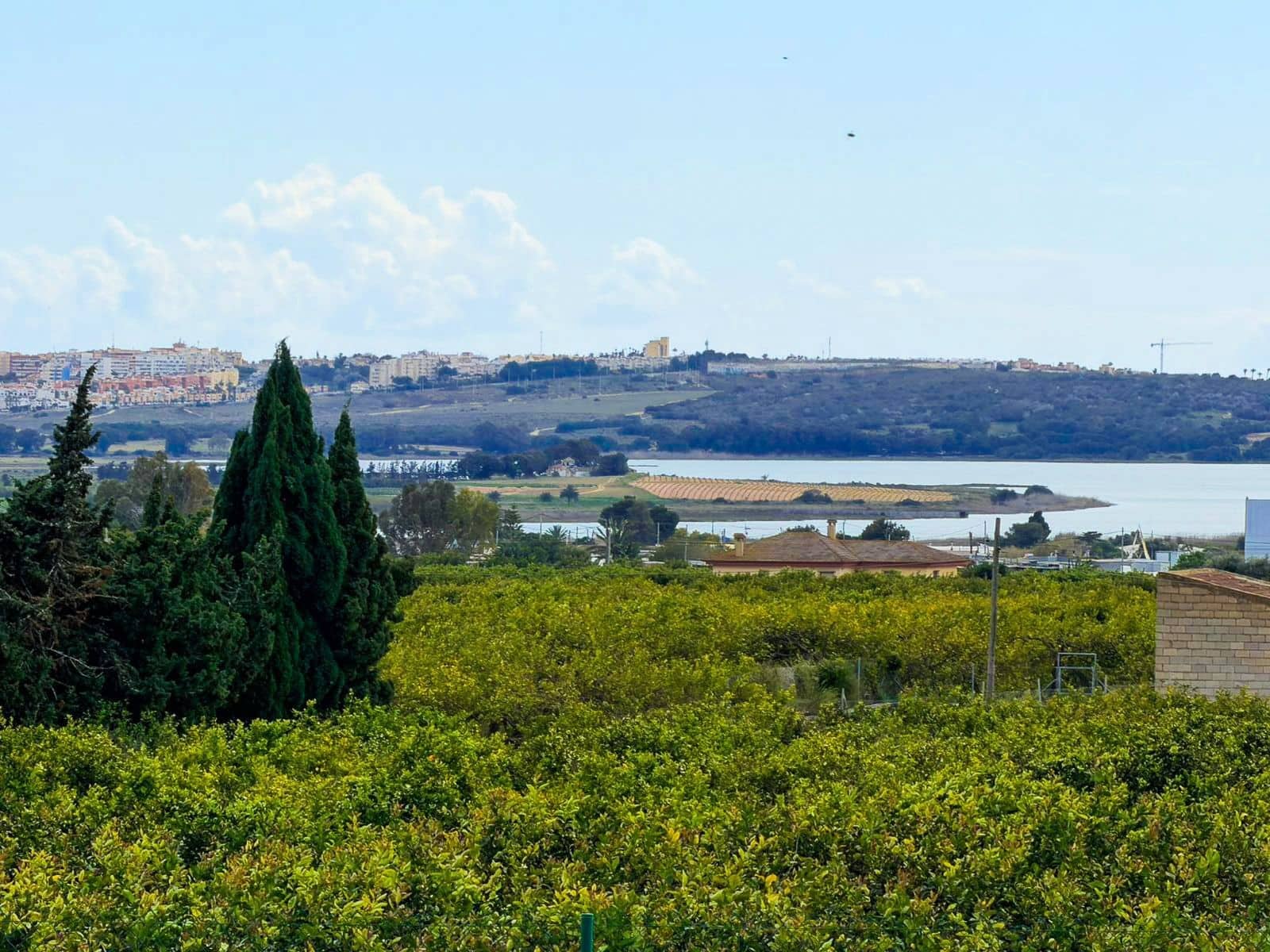 7 bedroom Villa for sale in Guardamar del Segura - € 490,000 (Ref: 9871962)