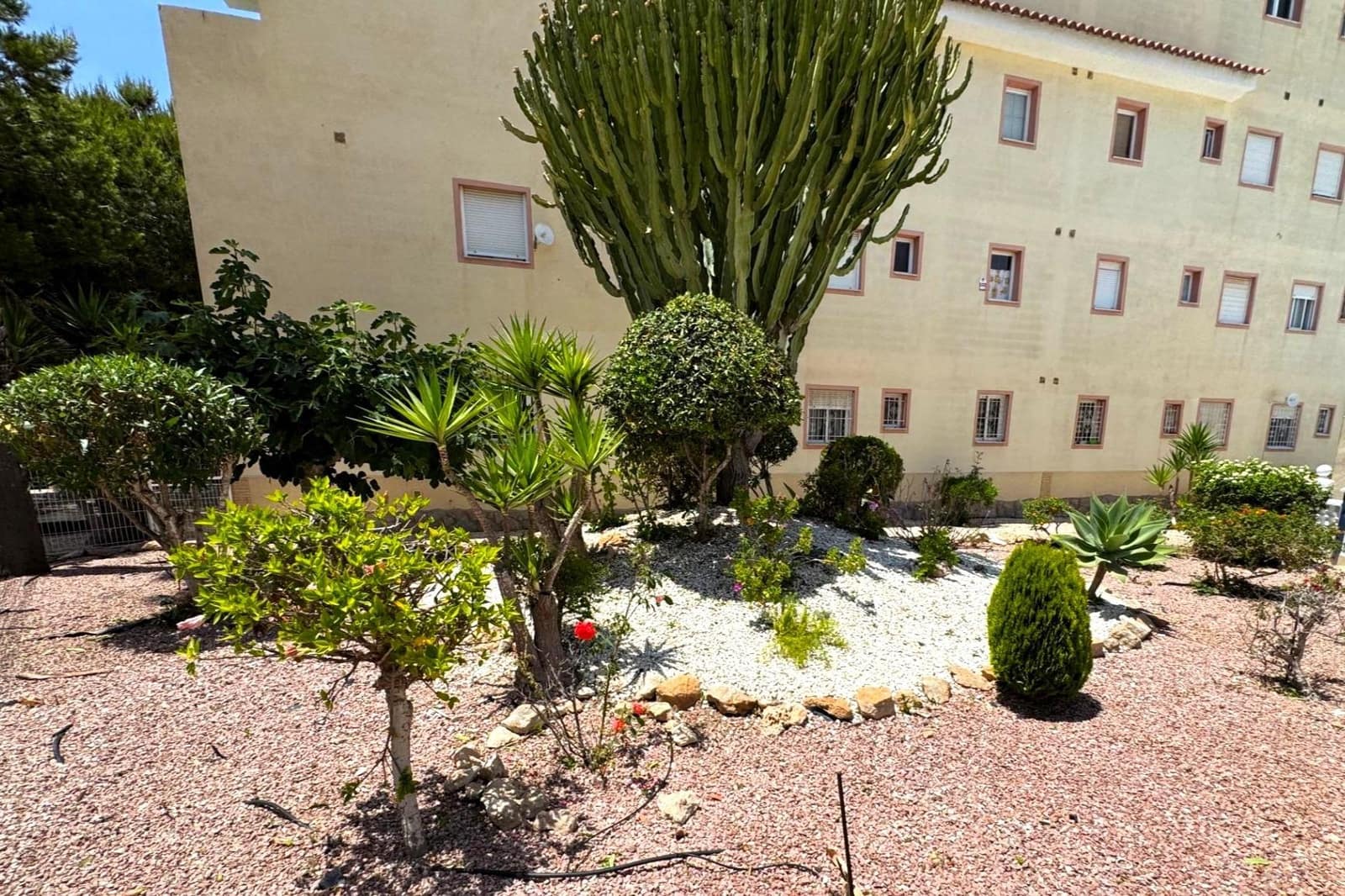 3 Zimmer Apartment zu verkaufen in El Chaparral mit Pool - 169.900 € (Ref: 9899160)