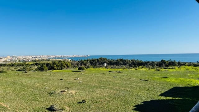 2 Zimmer Penthouse zu verkaufen in Punta Prima, Torrevieja mit Pool Garage - 220.000 € (Ref: 9900340)