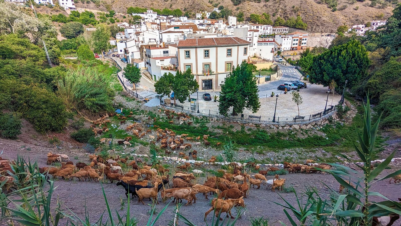 4 soverom Hus til salgs i Archez - € 88 000 (Ref: 9084583)