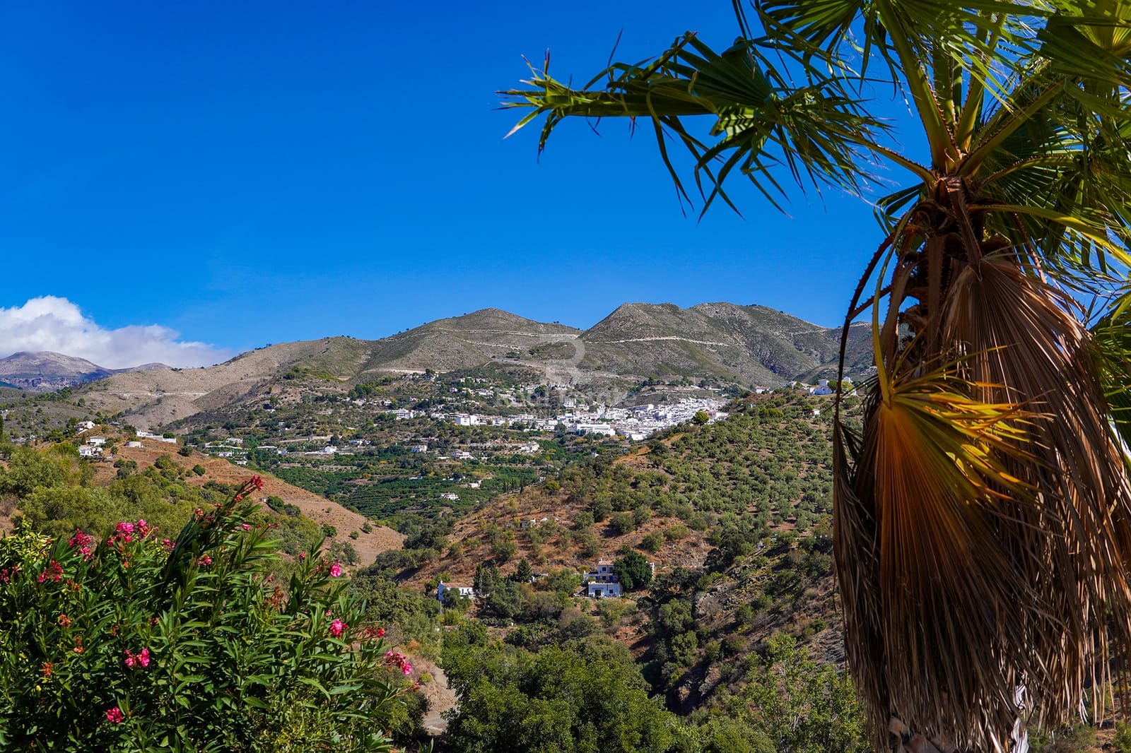 3 soveværelse Villa til salg i Archez med swimmingpool garage - € 349.000 (Ref: 9340252)