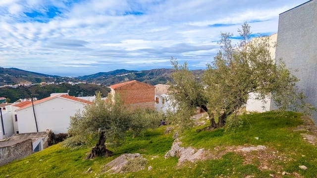 Tontti myytävänä paikassa Cómpeta - 292 000 € (Ref: 9783410)