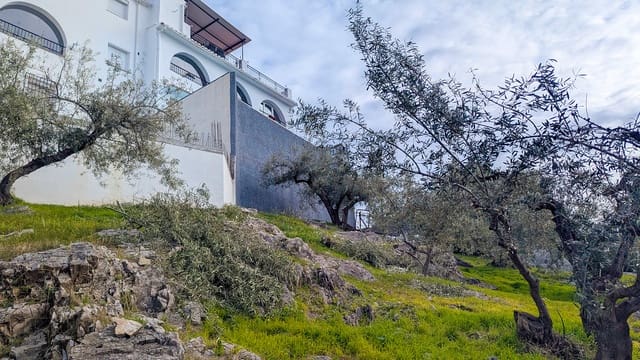 Tontti myytävänä paikassa Cómpeta - 292 000 € (Ref: 9783410)