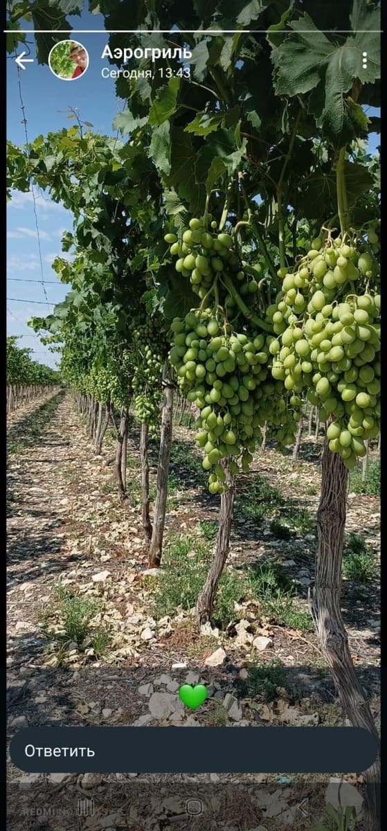 3 soveværelse Finca/Landehus til salg i Agost med swimmingpool - € 340.000 (Ref: 8828602)