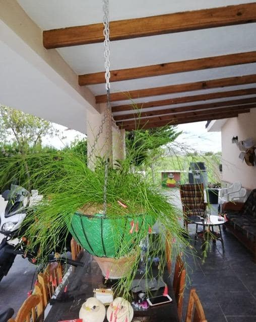 3 soveværelse Finca/Landehus til salg i Agost med swimmingpool - € 340.000 (Ref: 8828602)