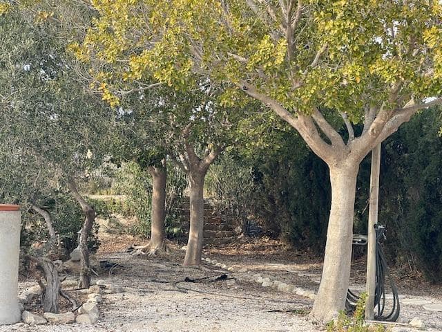 3 bedroom Finca/Country House for sale in Agost with pool - € 340,000 (Ref: 8828602)