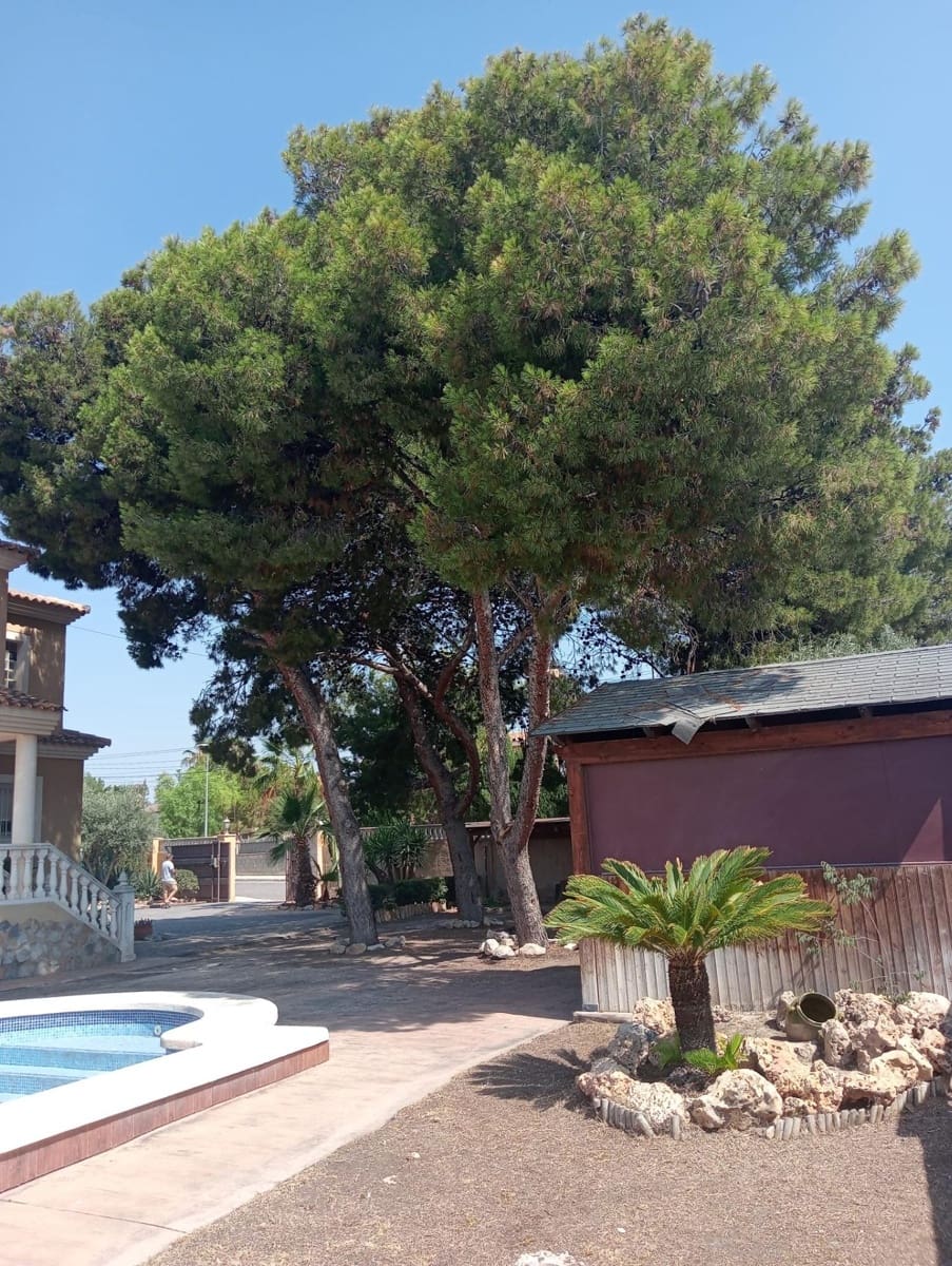5 camera da letto Villa in vendita in Muchamiel / Mutxamel con piscina - 570.000 € (Rif: 9141675)