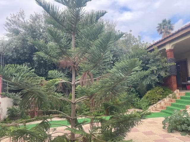 6 camera da letto Villa in vendita in Alicante citta con garage - 750.000 € (Rif: 9860207)