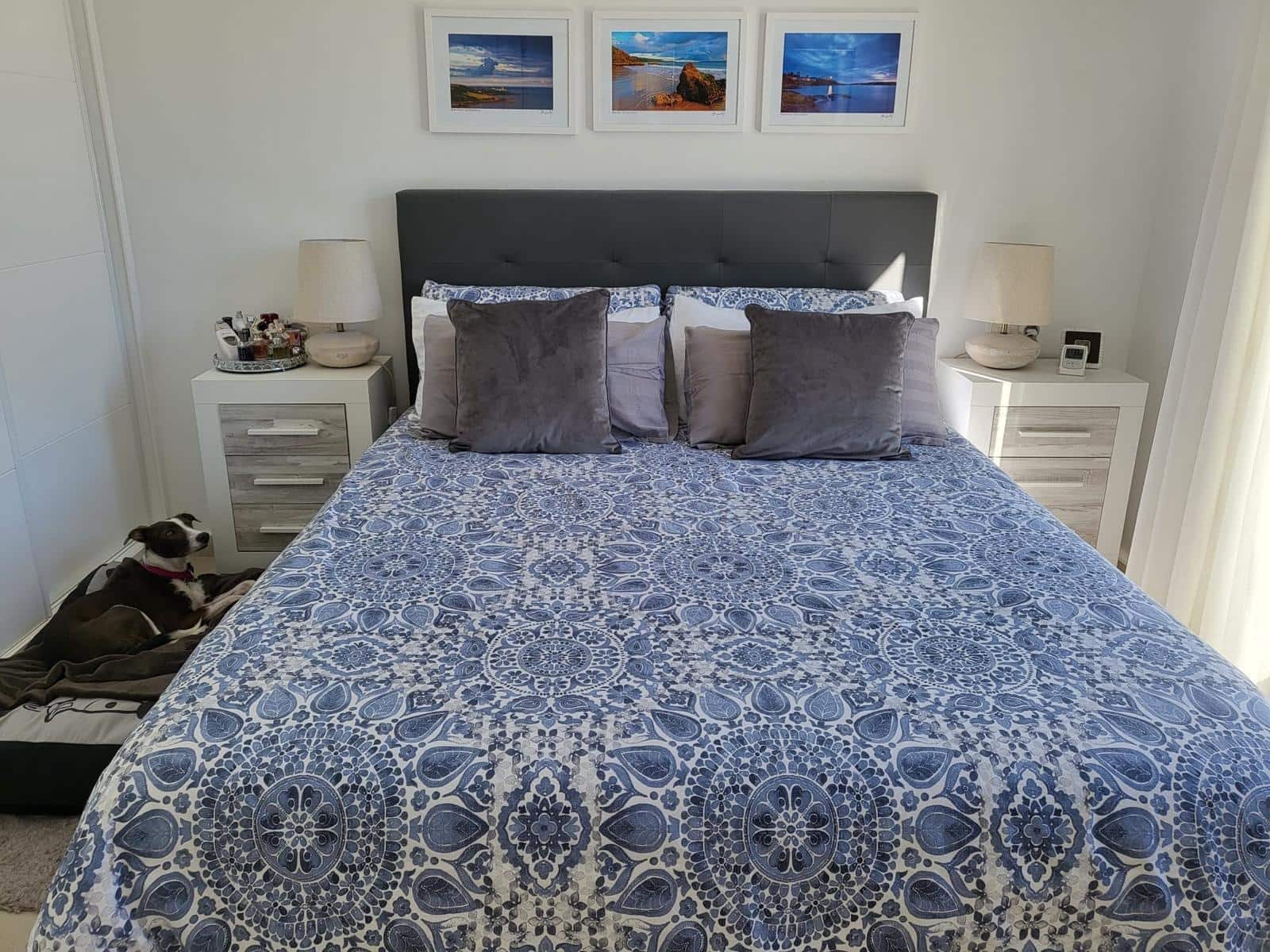 3 Zimmer Villa zu verkaufen in Almoradi mit Pool - 430.000 € (Ref: 10041182)