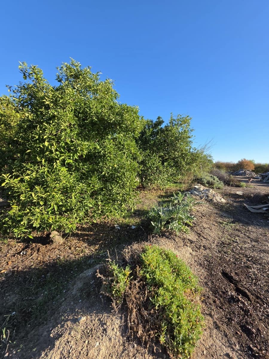 3 soverom Finca/Herregård til salgs i Lorqui med garasje - € 135 000 (Ref: 10180672)