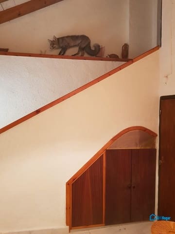 3 sypialnia Finka/Dom wiejski na sprzedaż w Las Palas, Fuente Alamo de Murcia - 199 900 € (Ref: 8741599)