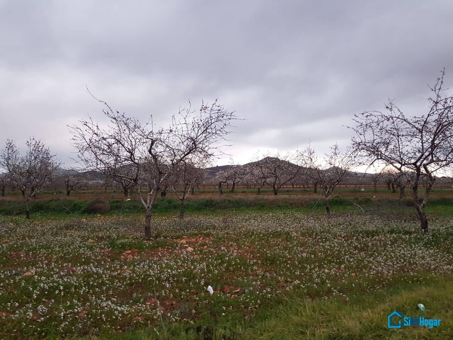 3 soveværelse Finca/Landehus til salg i Las Palas - € 199.900 (Ref: 8741599)