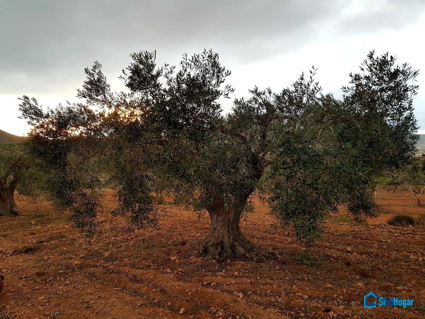 3 soveværelse Finca/Landehus til salg i Las Palas - € 199.900 (Ref: 8741599)