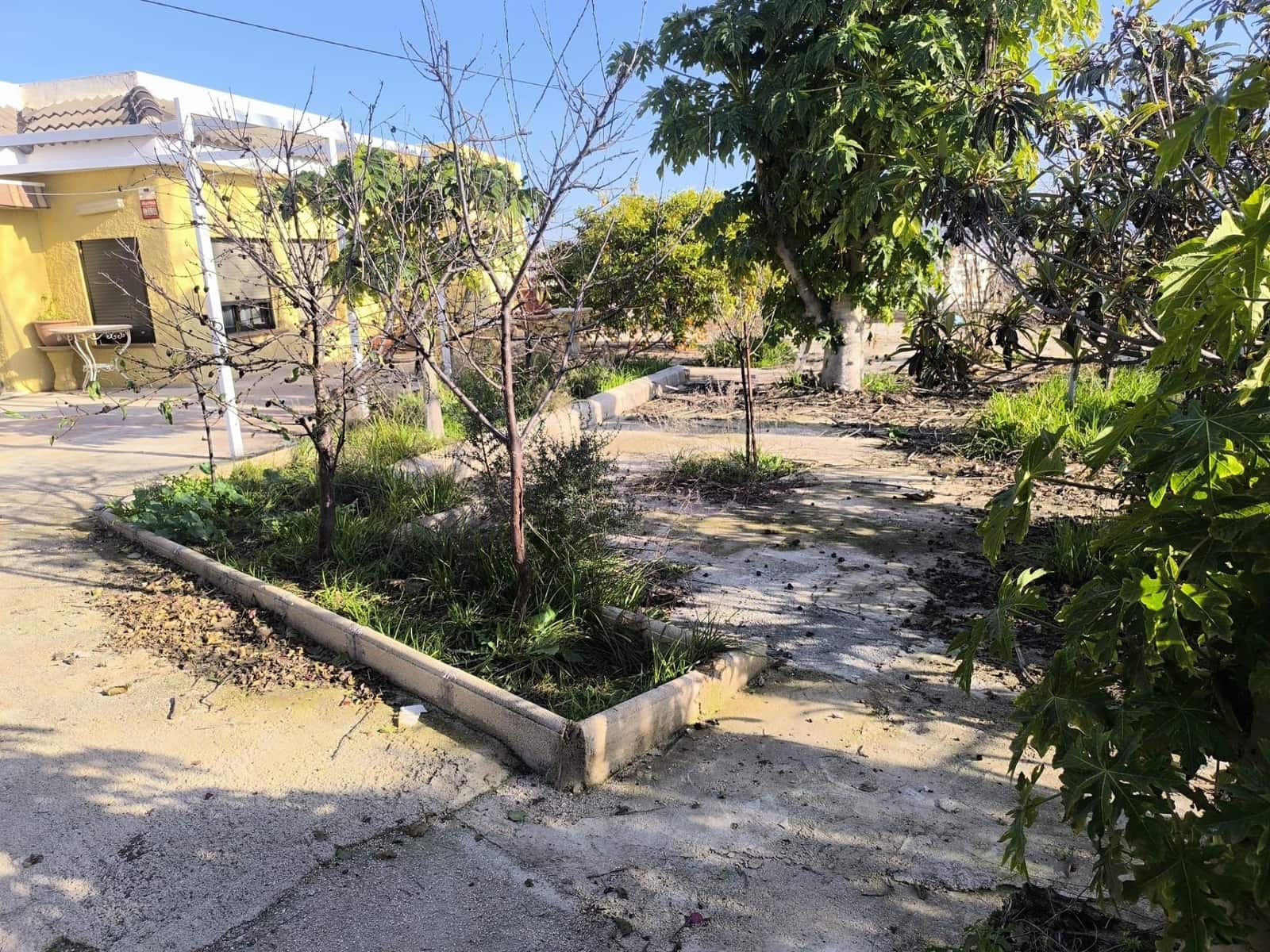 Chalet de 4 habitaciones en La Ñora en venta con garaje - 250.000 € (Ref: 8888280)