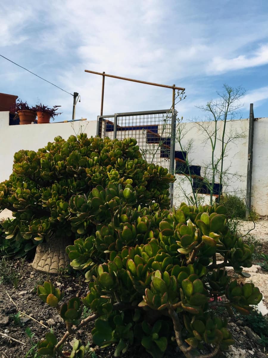 5 soveværelse Villa til salg i Murcia by - € 295.000 (Ref: 8928656)