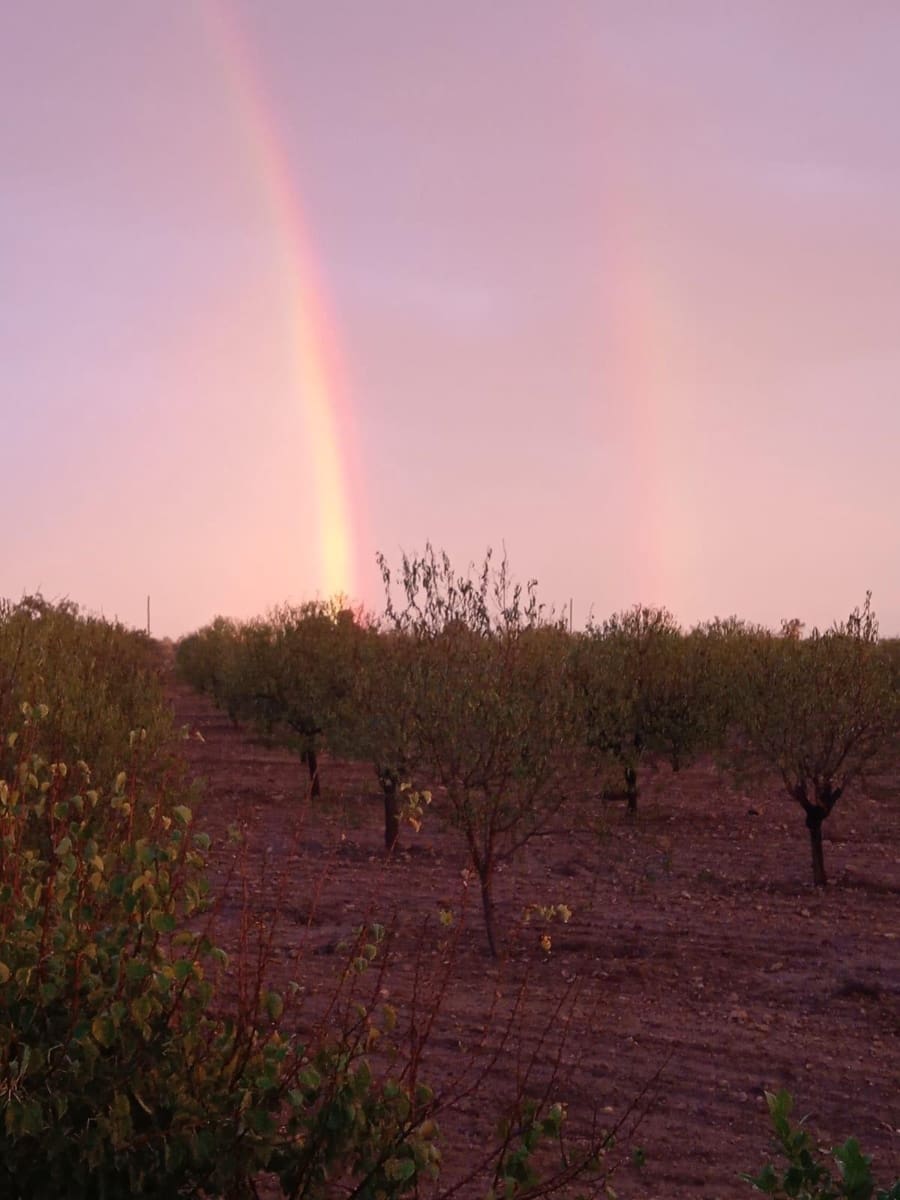 5 soveværelse Villa til salg i Murcia by - € 295.000 (Ref: 8928656)