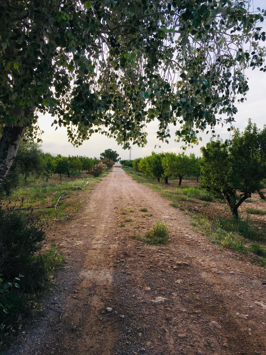 5 soveværelse Villa til salg i Murcia by - € 295.000 (Ref: 8928656)