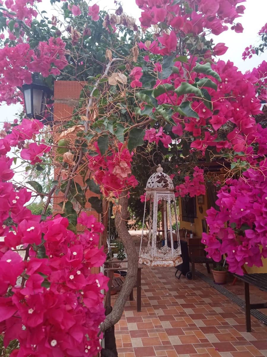 5 soveværelse Villa til salg i Murcia by - € 295.000 (Ref: 8928656)