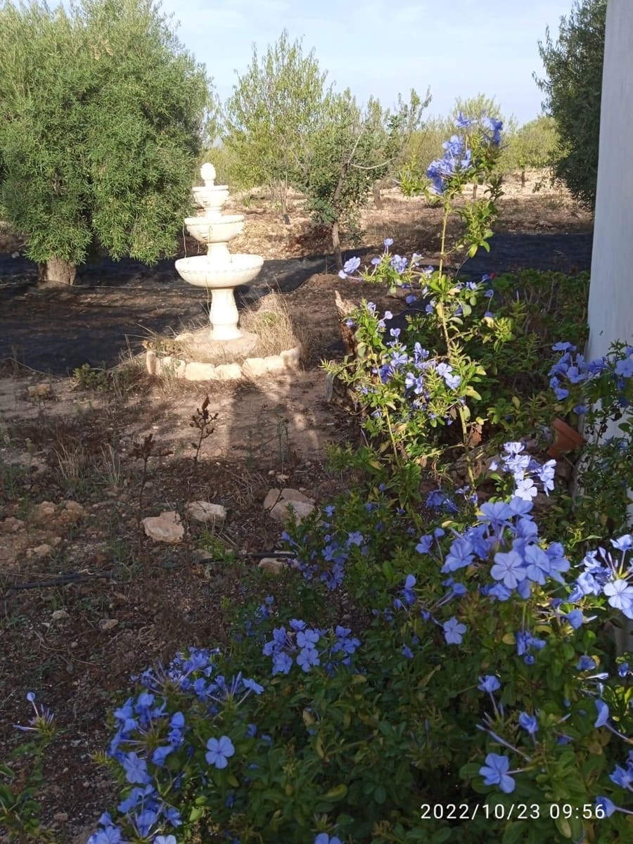 5 soveværelse Villa til salg i Murcia by - € 295.000 (Ref: 8928656)