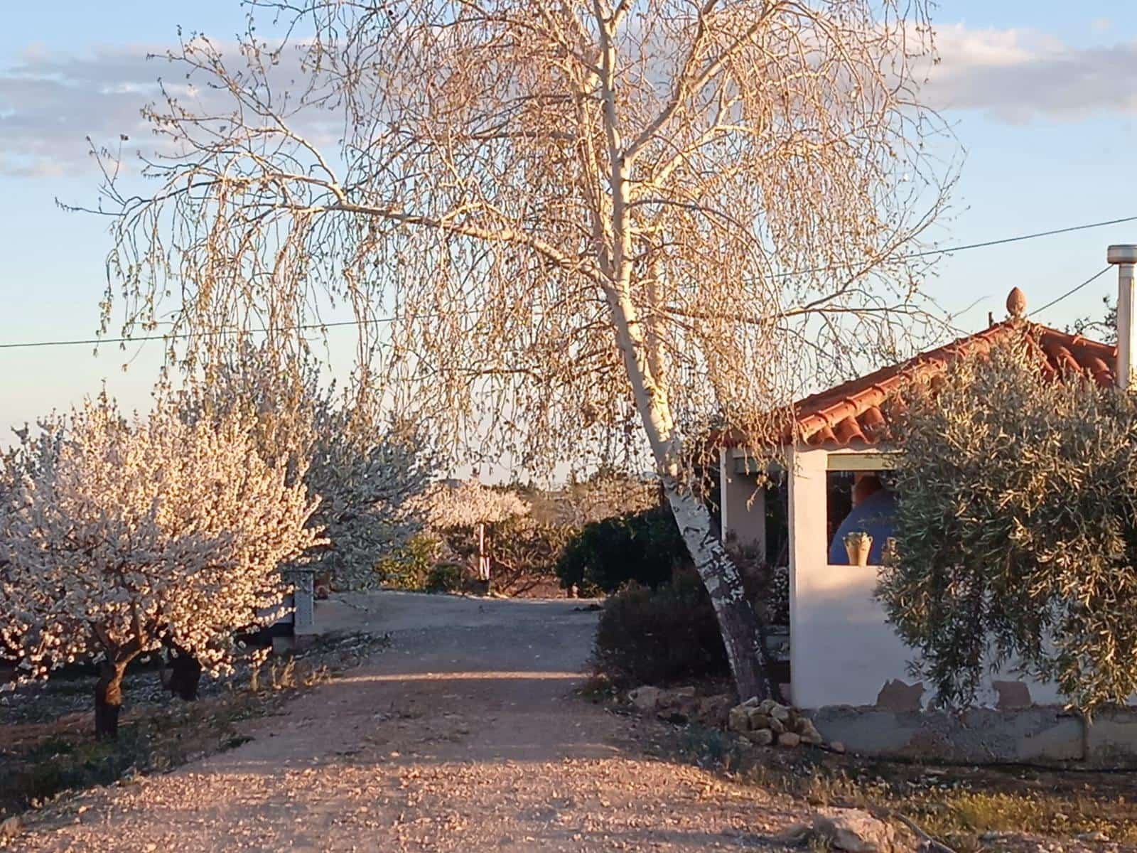 5 soveværelse Villa til salg i Murcia by - € 295.000 (Ref: 8928656)