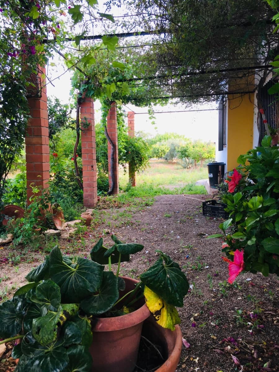 5 soveværelse Villa til salg i Murcia by - € 295.000 (Ref: 8928656)