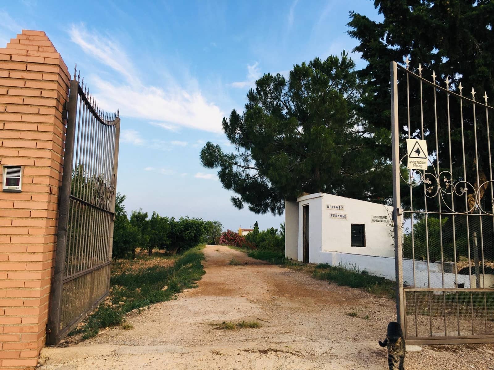 5 soveværelse Villa til salg i Murcia by - € 295.000 (Ref: 8928656)