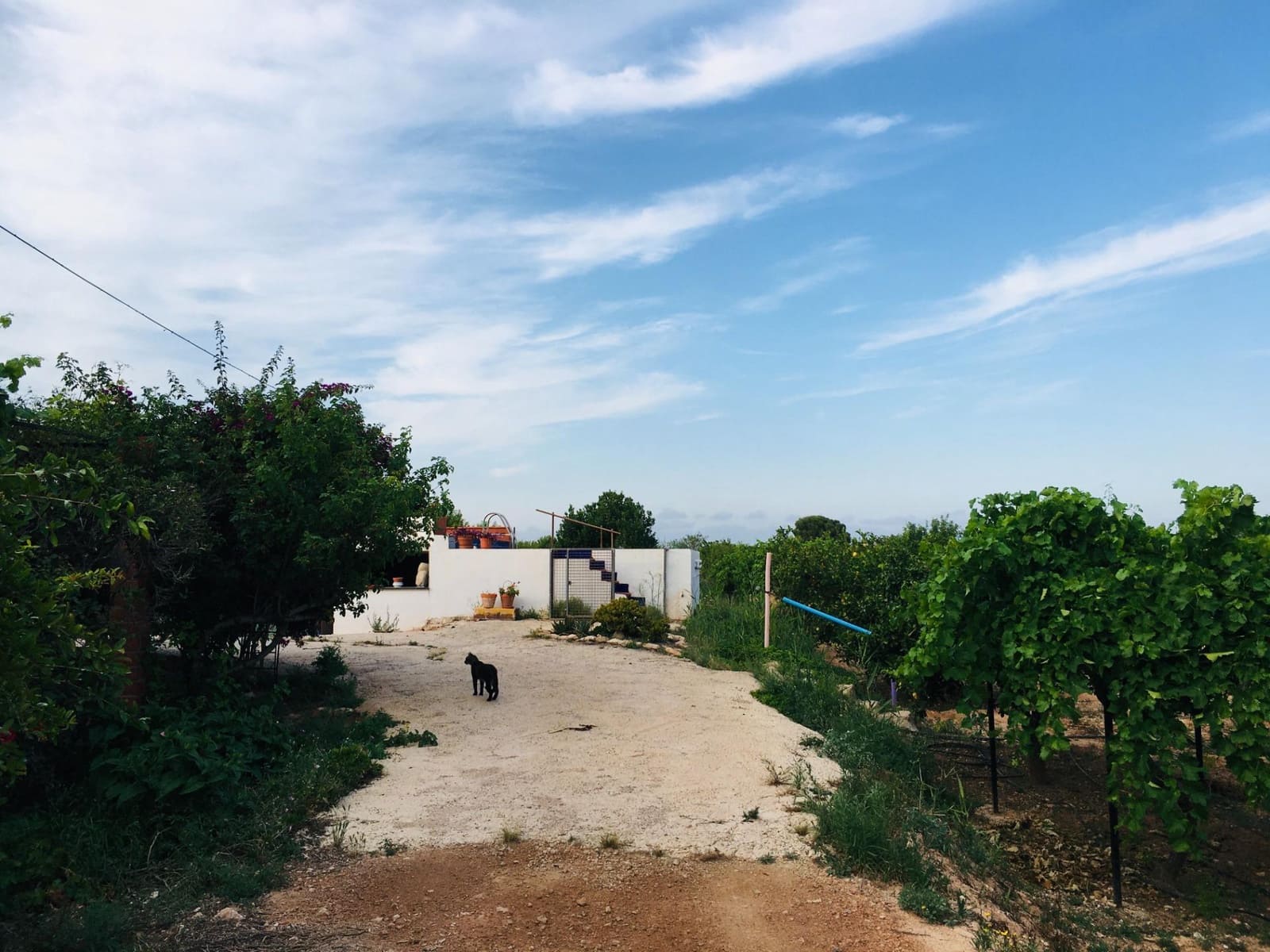 5 soveværelse Villa til salg i Murcia by - € 295.000 (Ref: 8928656)