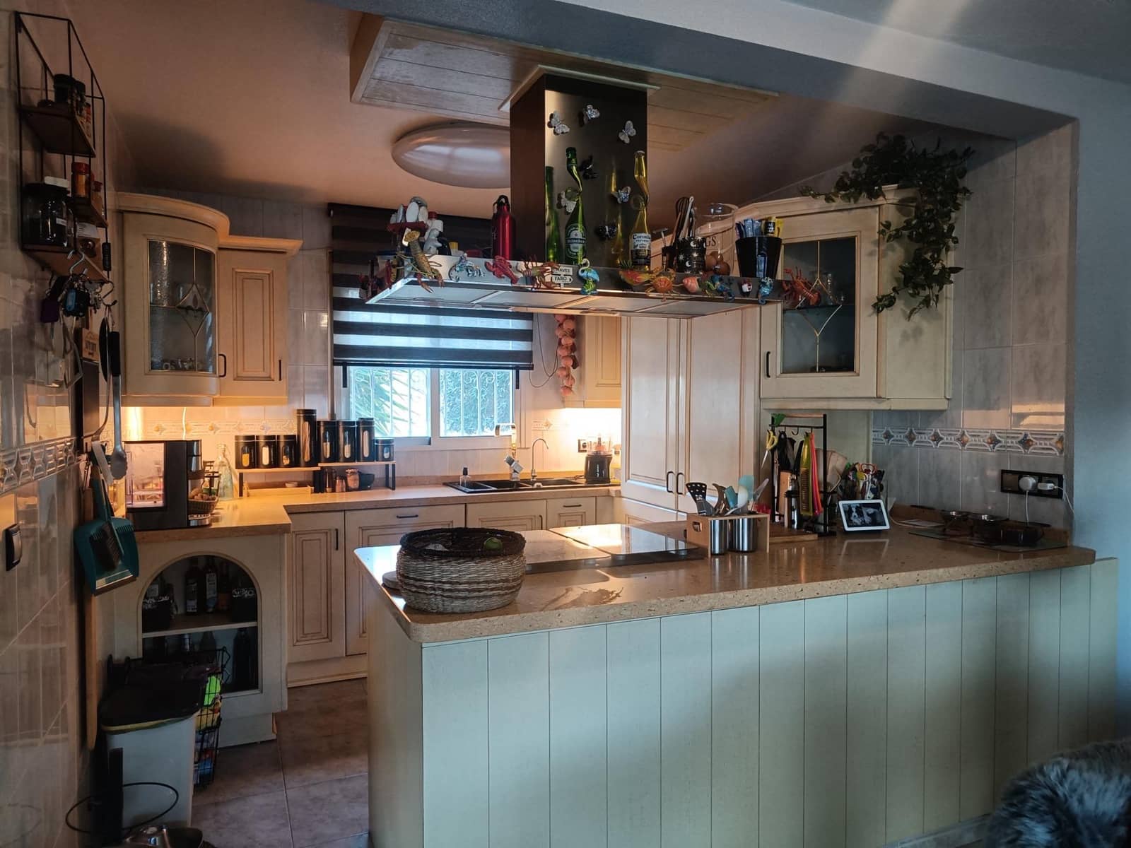 5 chambre Villa/Maison à vendre à Benijofar avec piscine garage - 545 000 € (Ref: 8928697)