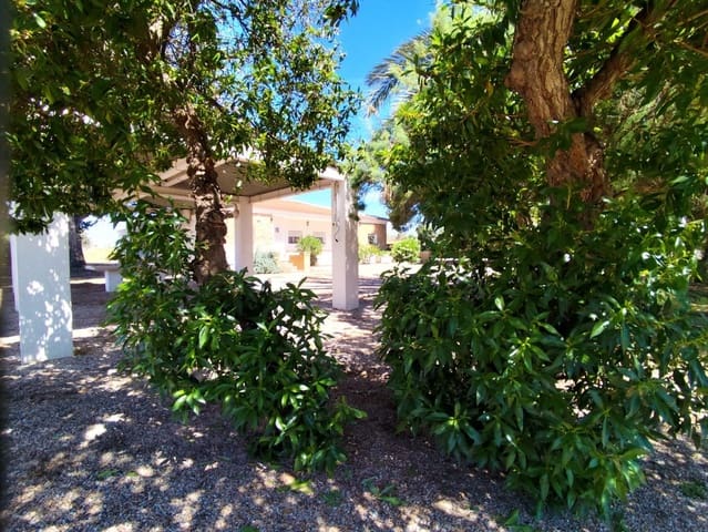 8 chambre Finca/Maison de Campagne à vendre à Los Alcázares avec piscine - 540 000 € (Ref: 9004745)