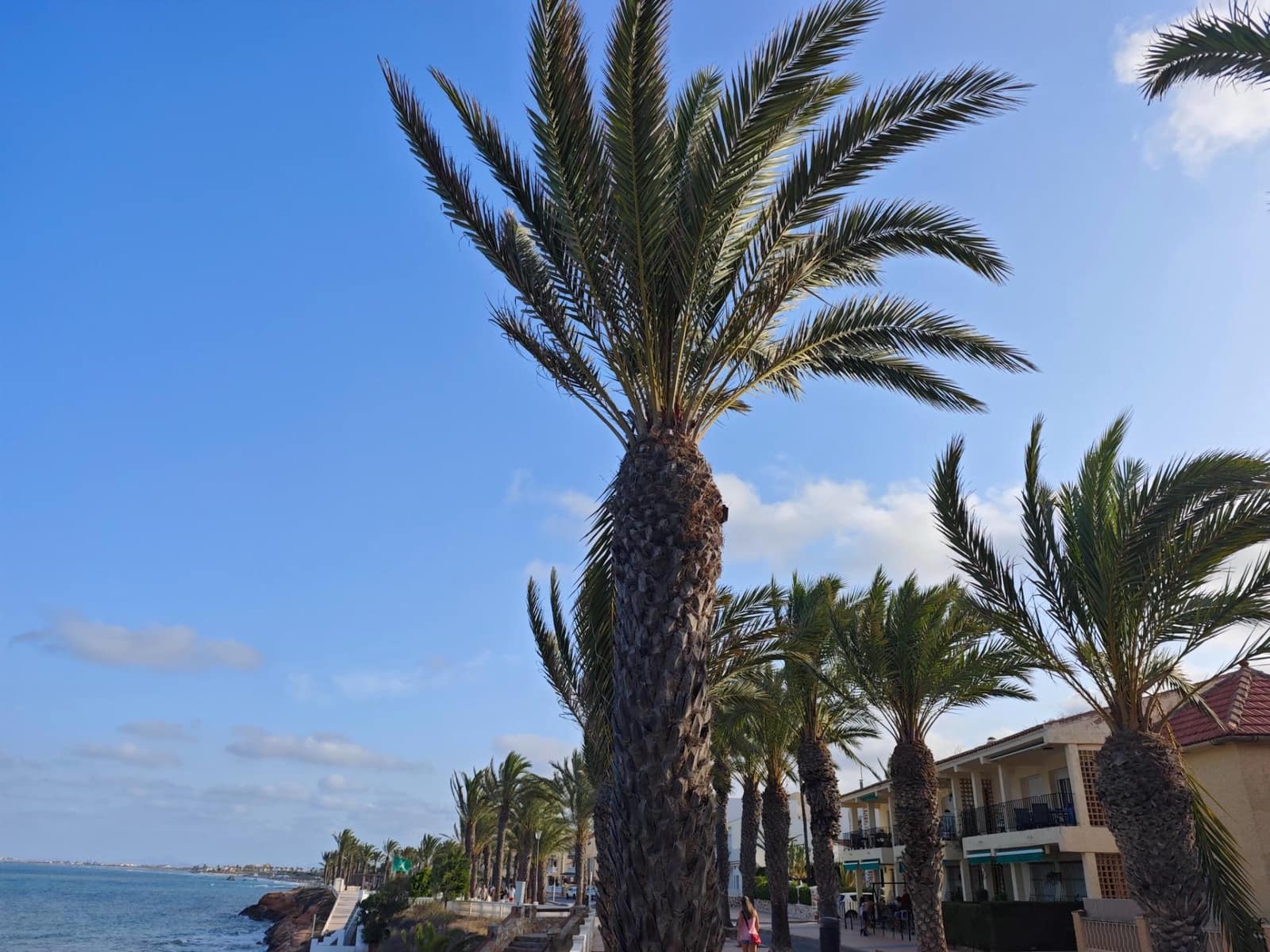 3 camera da letto Appartamento in vendita in Torre de la Horadada - 220.000 € (Rif: 9185404)