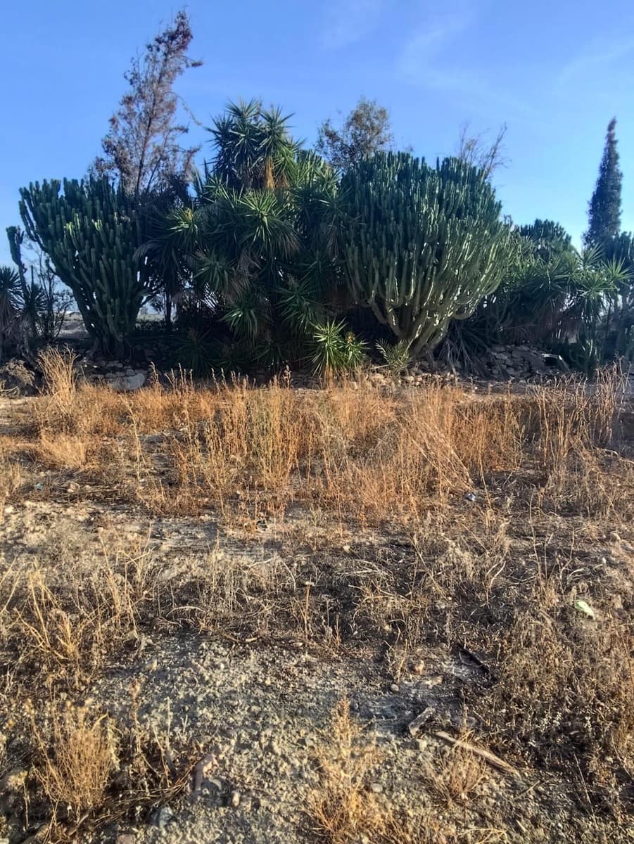 37 camera da letto Villa in vendita in Murcia citta con garage - 350.000 € (Rif: 9297235)