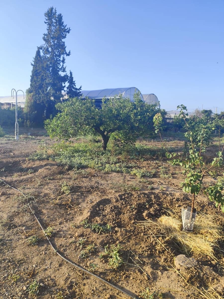 37 camera da letto Villa in vendita in Murcia citta con garage - 350.000 € (Rif: 9297235)