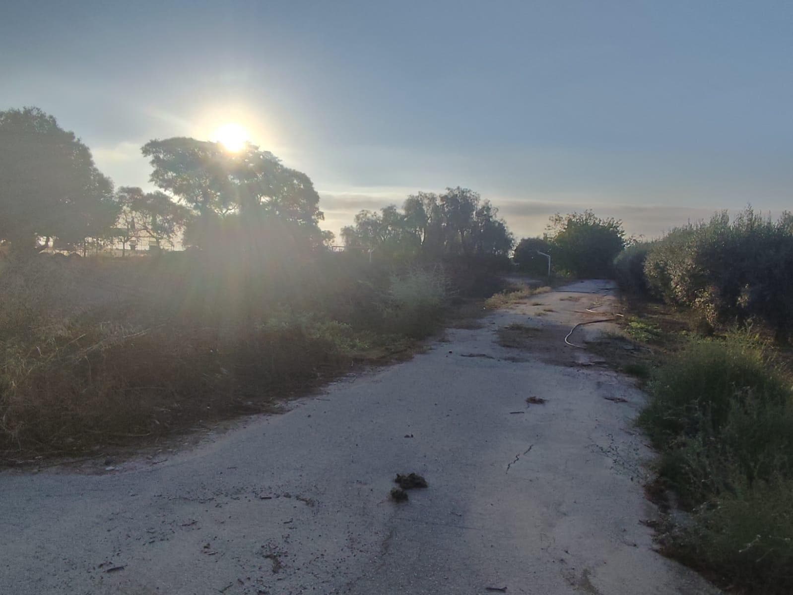 37 camera da letto Villa in vendita in Murcia citta con garage - 350.000 € (Rif: 9297235)