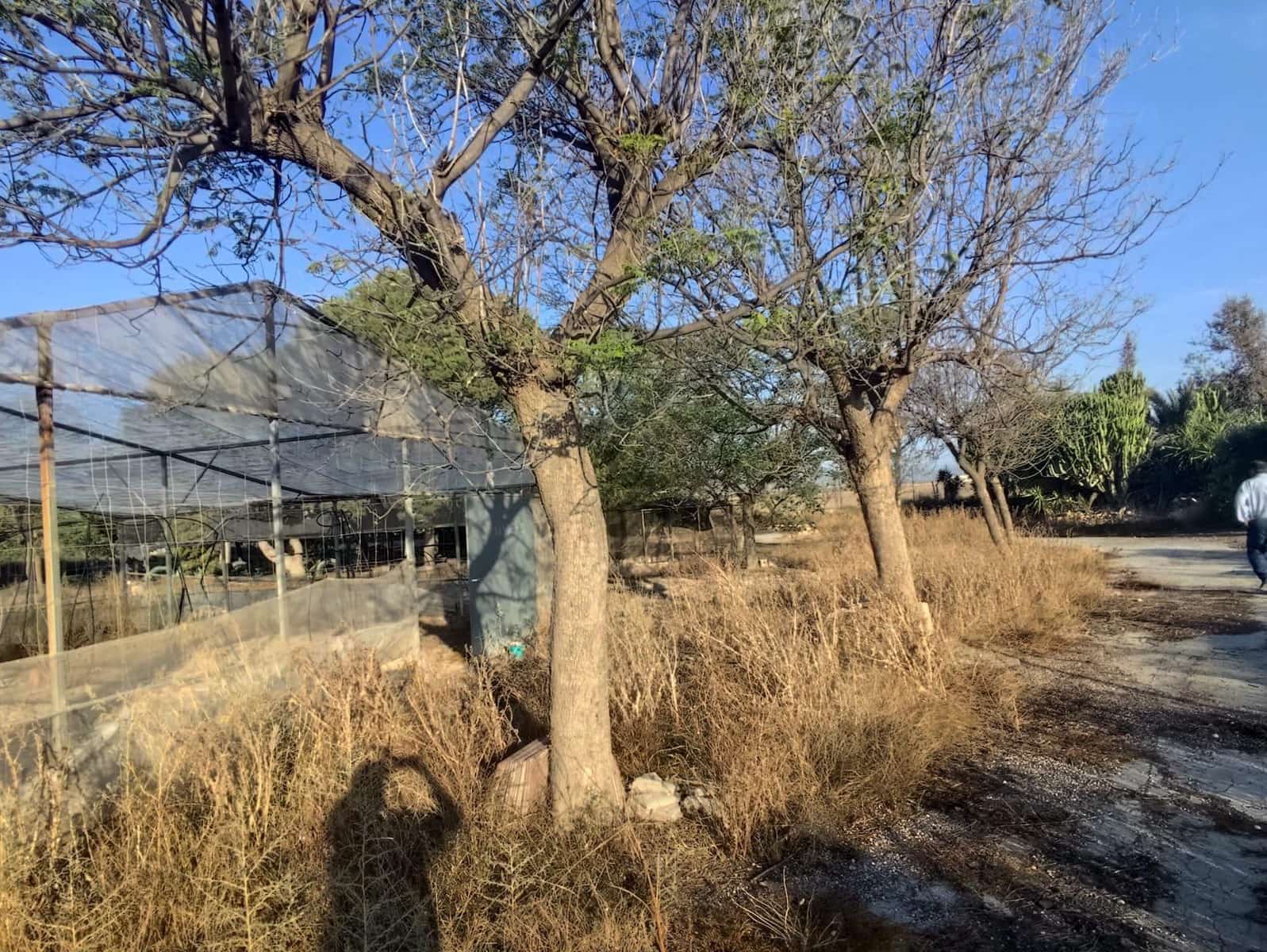 37 camera da letto Villa in vendita in Murcia citta con garage - 350.000 € (Rif: 9297235)