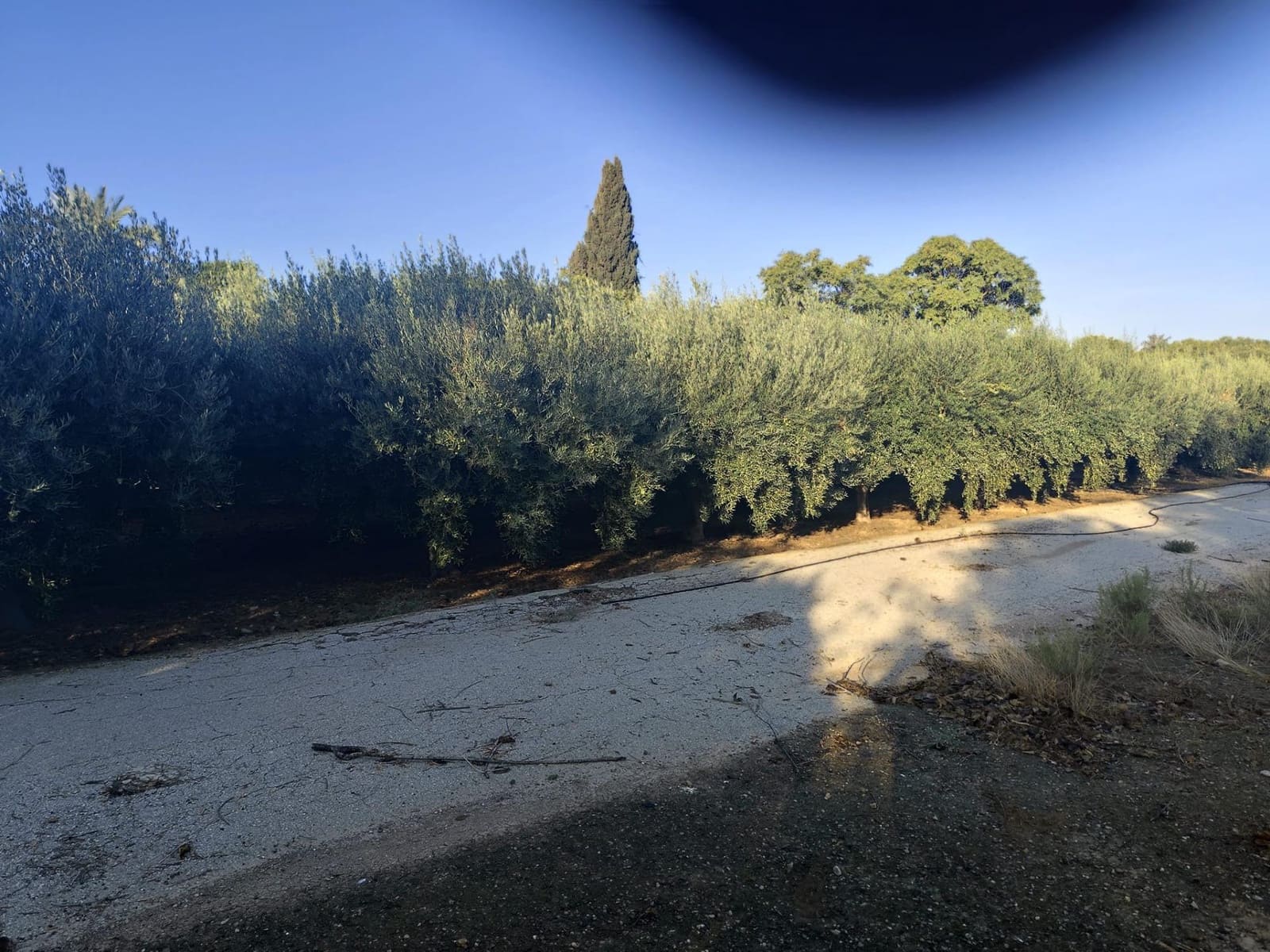 37 camera da letto Villa in vendita in Murcia citta con garage - 350.000 € (Rif: 9297235)