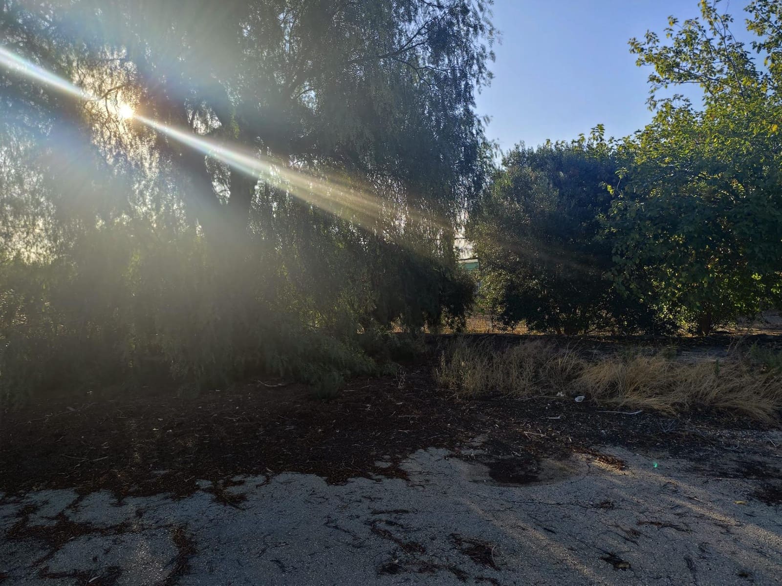 37 camera da letto Villa in vendita in Murcia citta con garage - 350.000 € (Rif: 9297235)