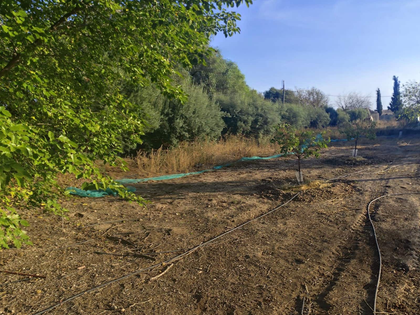 37 camera da letto Villa in vendita in Murcia citta con garage - 350.000 € (Rif: 9297235)