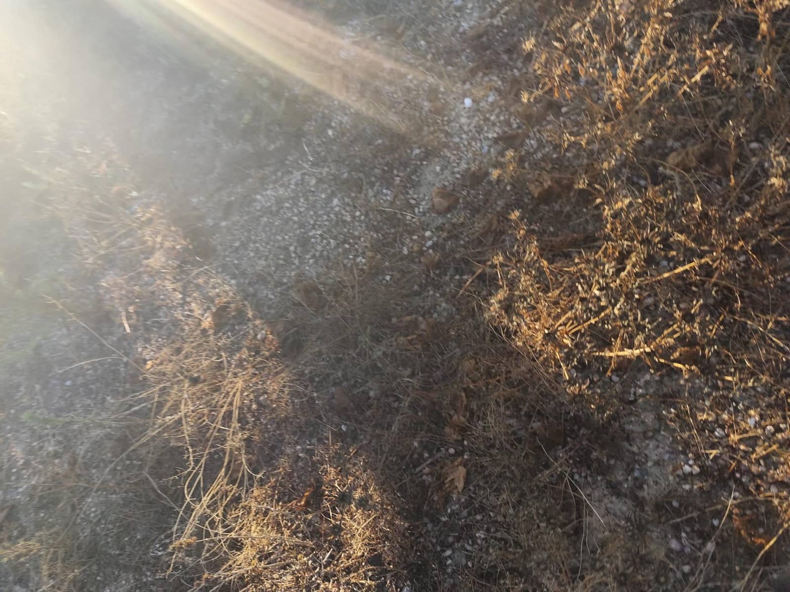 37 camera da letto Villa in vendita in Murcia citta con garage - 350.000 € (Rif: 9297235)