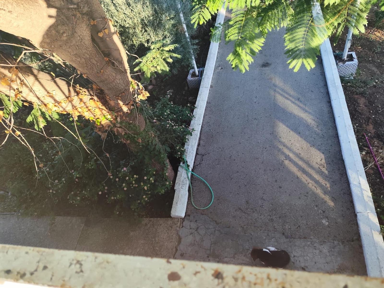 37 camera da letto Villa in vendita in Murcia citta con garage - 350.000 € (Rif: 9297235)