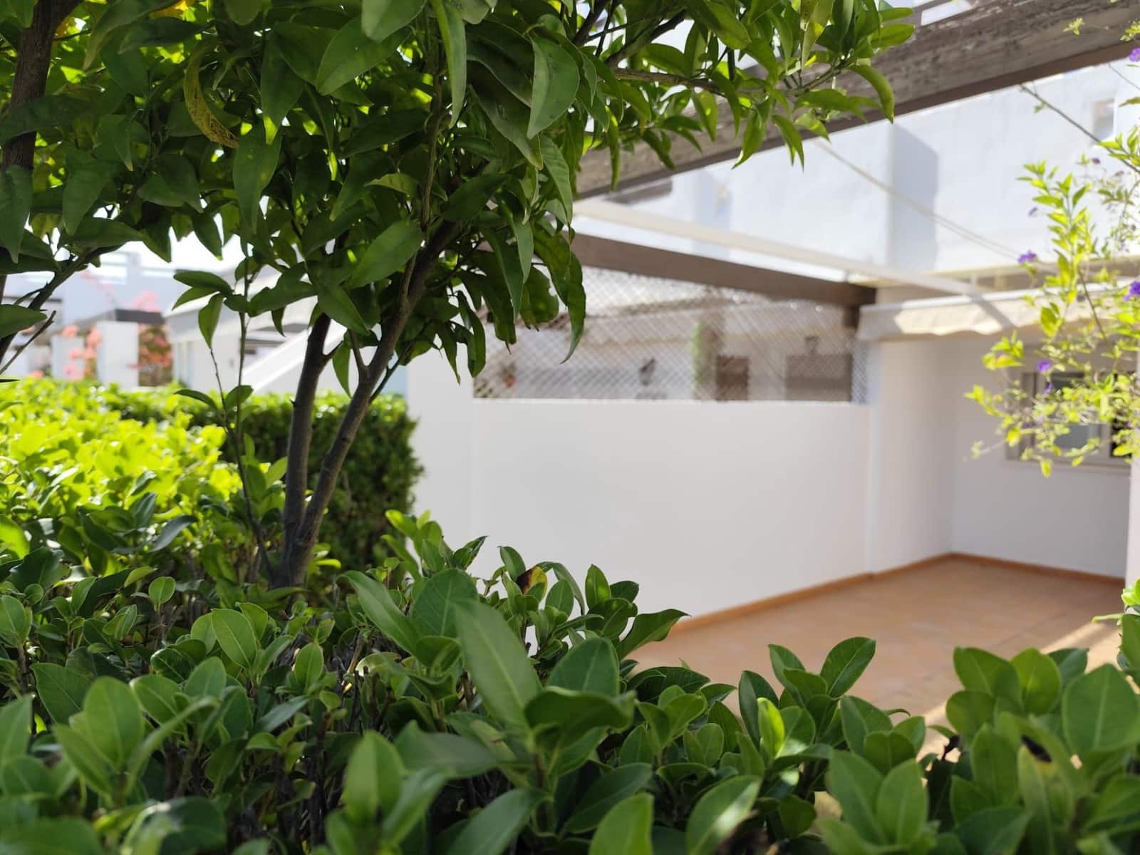 5 soveværelse Bungalow til salg i Condado de Alhama med swimmingpool - € 249.000 (Ref: 9321918)