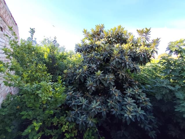 4 sypialnia Apartament na sprzedaż w Puebla de Soto, Miasto Murcja z garażem - 120 000 € (Ref: 9353631)