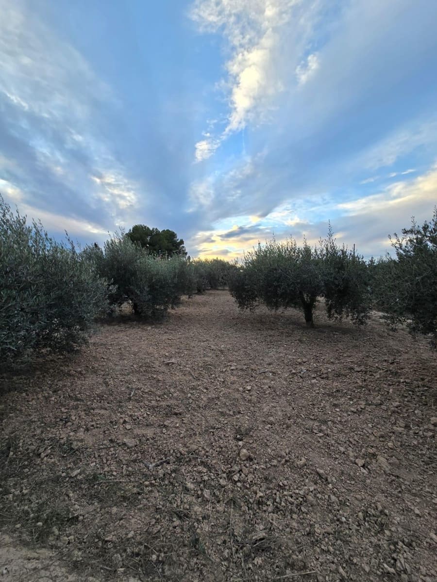 2 slaapkamer Finca/Landhuis te koop in Alcantarilla met zwembad - € 250.000 (Ref: 9415951)