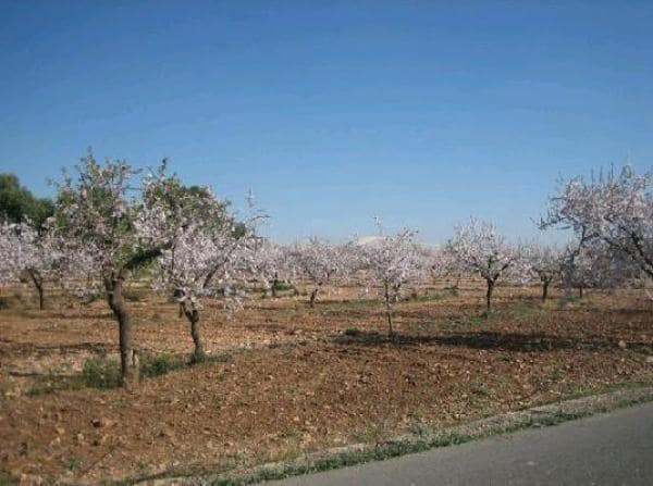 Casa de 5 habitaciones en Valladolises, Murcia ciudad en venta con garaje - 195.000 € (Ref: 9465778)