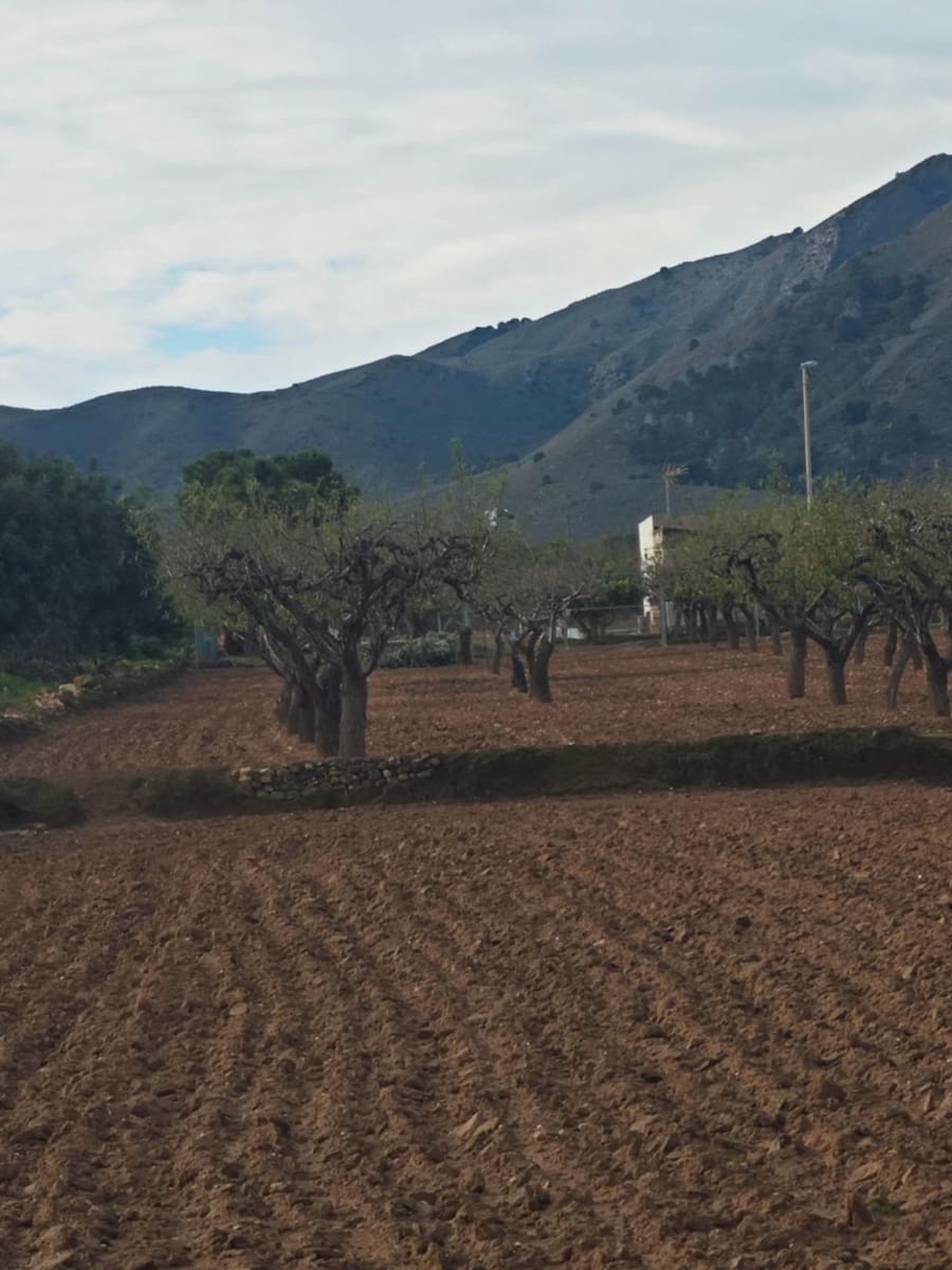 Finca/Hus på landet till salu i Las Palas - 62 000 € (Ref: 9476115)