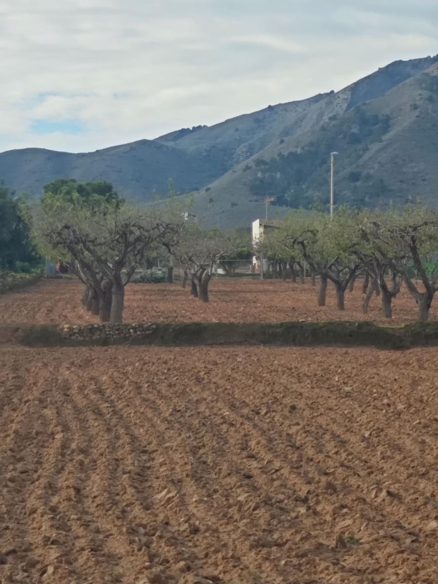 Finca/Hus på landet till salu i Las Palas - 62 000 € (Ref: 9476115)