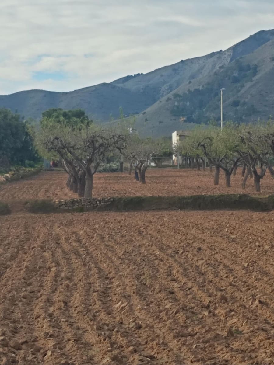 Finca/Hus på landet till salu i Las Palas - 62 000 € (Ref: 9476115)