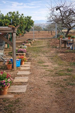 Finca/Hus på landet till salu i Las Palas, Fuente Alamo de Murcia - 62 000 € (Ref: 9476115)