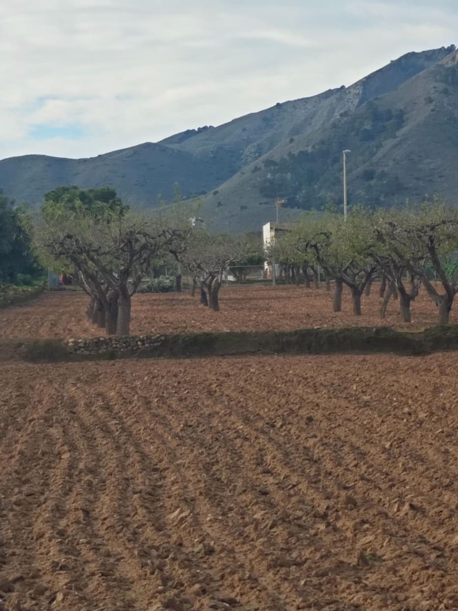 Finca/Hus på landet till salu i Las Palas - 62 000 € (Ref: 9476115)